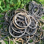 regali eco per adulti