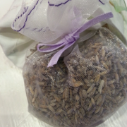 LAVANDA LAVANDA